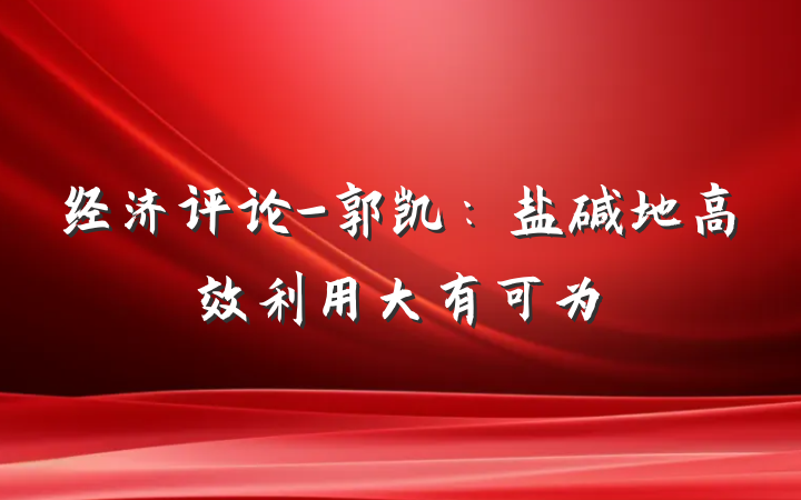 经济评论-郭凯：盐碱地高效利用大有可为