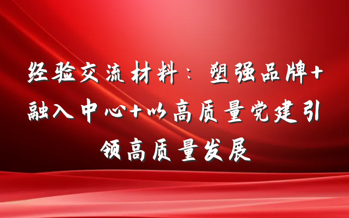 经验交流材料：塑强品牌 融入中心 以高质量党建引领高质量发展