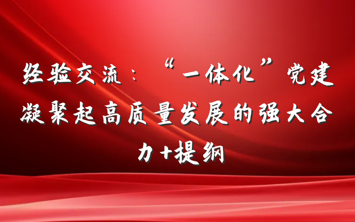 经验交流：“一体化”党建凝聚起高质量发展的强大合力 提纲