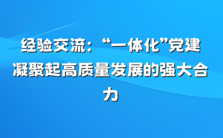 经验交流：“一体化”党建凝聚起高质量发展的强大合力