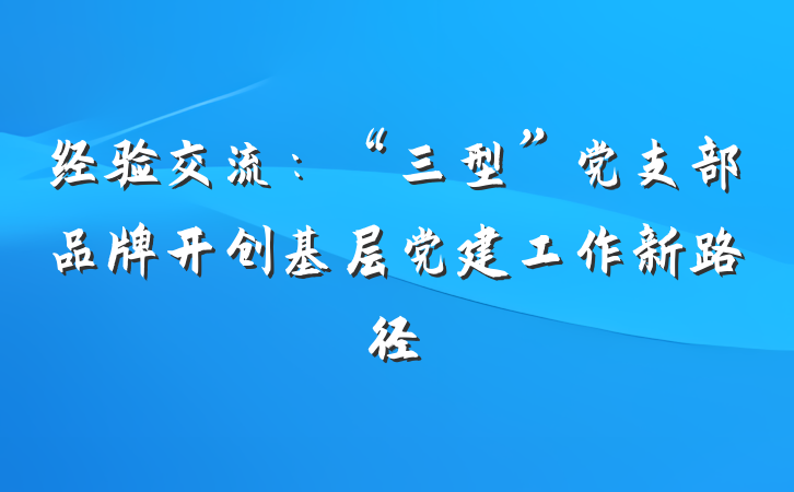 经验交流：“三型”党支部品牌开创基层党建工作新路径
