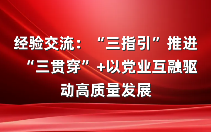 经验交流：“三指引”推进“三贯穿” 以党业互融驱动高质量发展