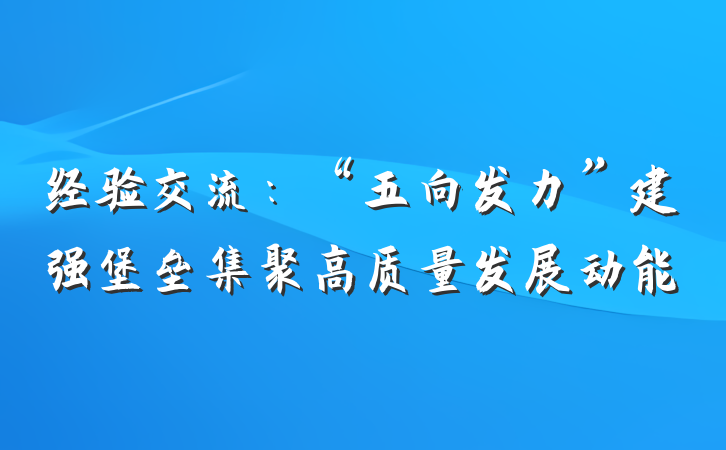 经验交流：“五向发力”建强堡垒集聚高质量发展动能
