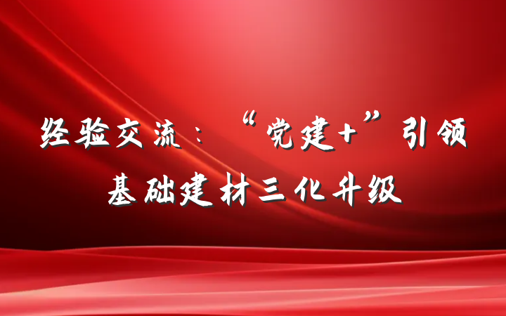 经验交流：“党建+”引领基础建材三化升级