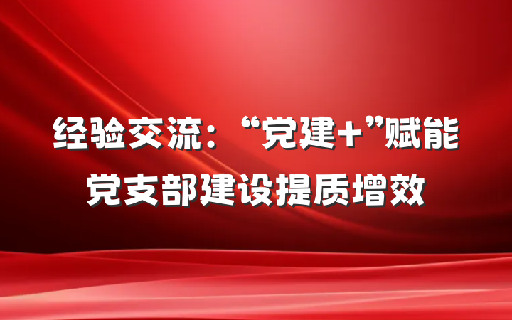 经验交流：“党建+”赋能党支部建设提质增效
