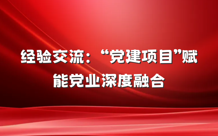经验交流：“党建项目”赋能党业深度融合