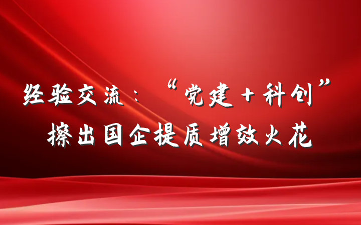 经验交流：“党建＋科创”擦出国企提质增效火花