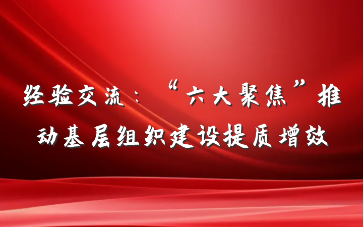 经验交流：“六大聚焦”推动基层组织建设提质增效