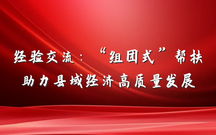 经验交流：“组团式”帮扶助力县域经济高质量发展