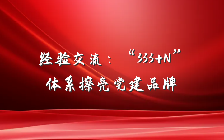 经验交流：“333+N”体系擦亮党建品牌