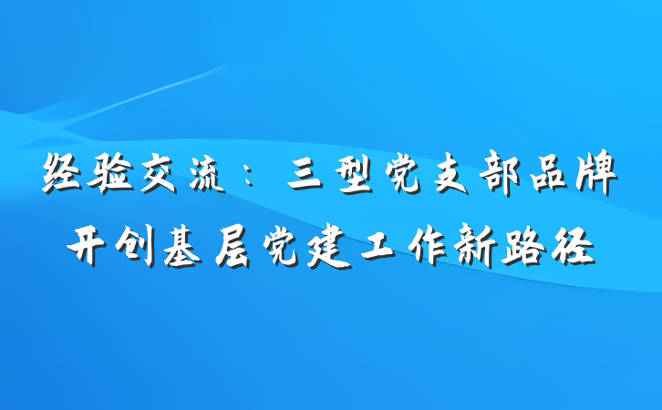 经验交流：三型党支部品牌开创基层党建工作新路径