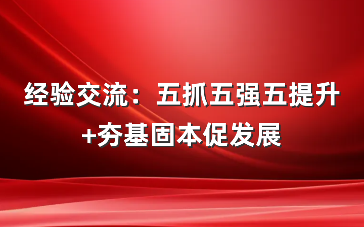 经验交流：五抓五强五提升 夯基固本促发展