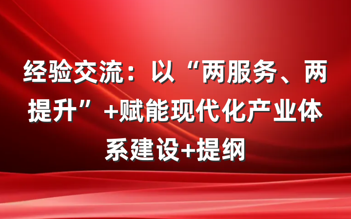 经验交流：以“两服务、两提升” 赋能现代化产业体系建设 提纲