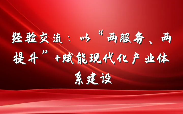 经验交流：以“两服务、两提升” 赋能现代化产业体系建设