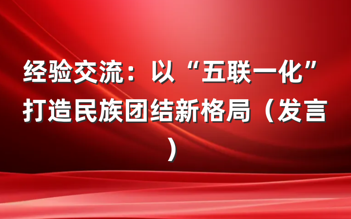经验交流：以“五联一化”打造民族团结新格局（发言）