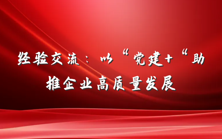经验交流：以“党建+“助推企业高质量发展