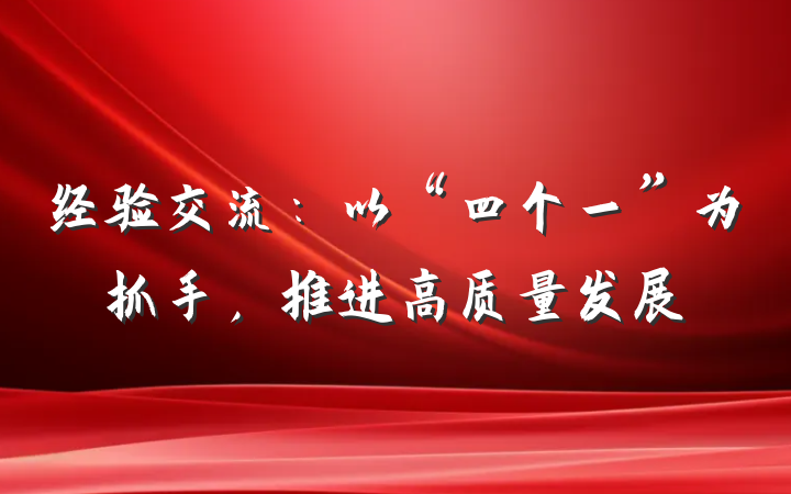 经验交流：以“四个一”为抓手，推进高质量发展