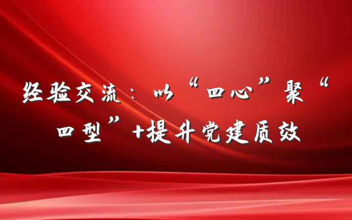经验交流：以“四心”聚“四型” 提升党建质效