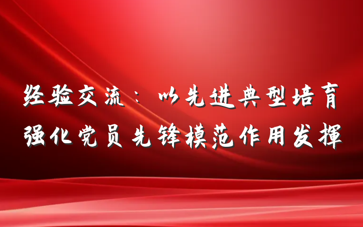 经验交流：以先进典型培育强化党员先锋模范作用发挥