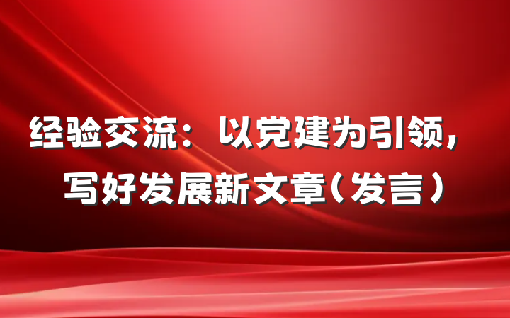 经验交流：以党建为引领，写好发展新文章（发言）