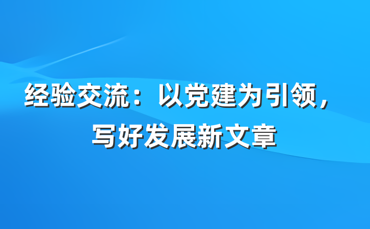 经验交流：以党建为引领，写好发展新文章
