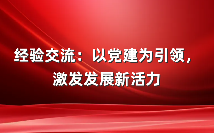 经验交流：以党建为引领，激发发展新活力