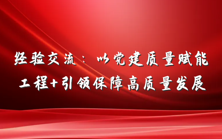 经验交流:以党建质量赋能工程 引领保障高质量发展