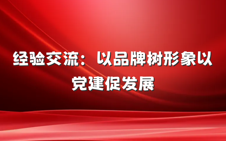 经验交流：以品牌树形象以党建促发展