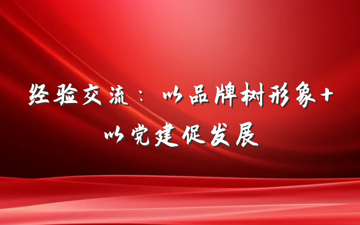 经验交流：以品牌树形象 以党建促发展