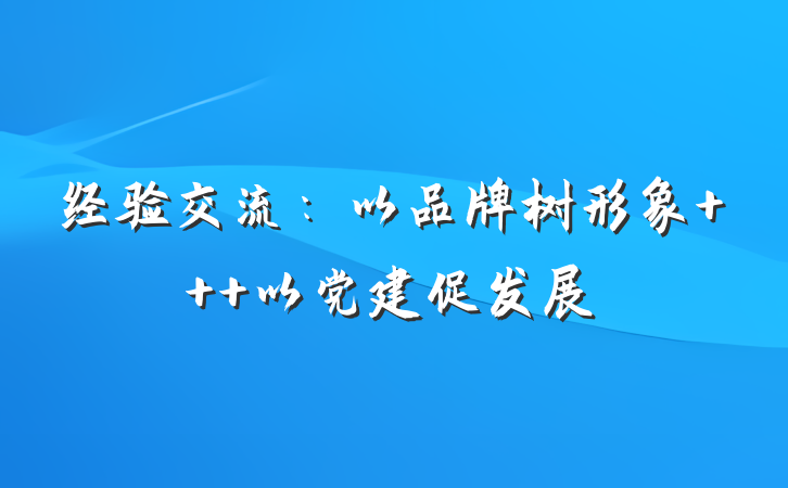 经验交流：以品牌树形象   以党建促发展