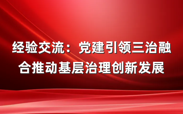 经验交流：党建引领三治融合推动基层治理创新发展