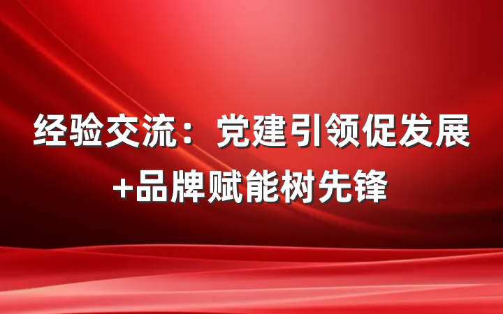 经验交流：党建引领促发展 品牌赋能树先锋