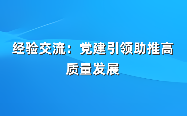 经验交流：党建引领助推高质量发展