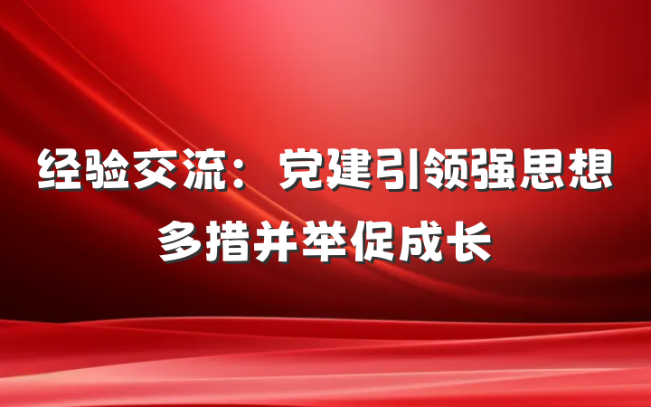 经验交流：党建引领强思想多措并举促成长