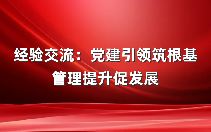 经验交流：党建引领筑根基管理提升促发展