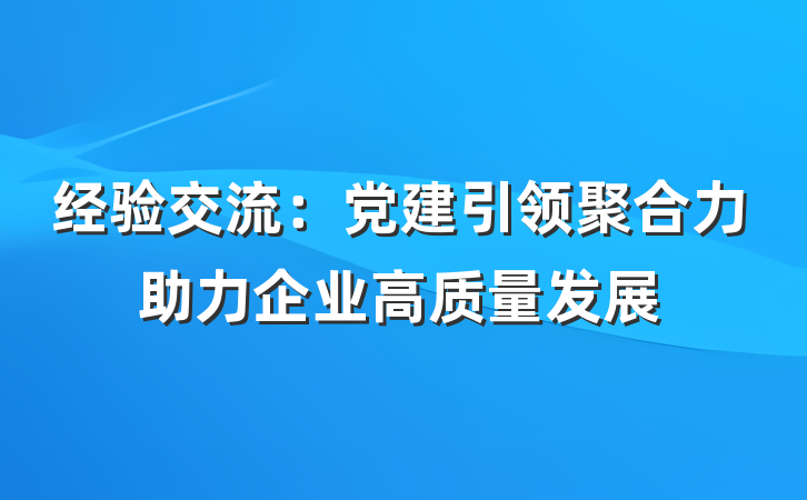 经验交流：党建引领聚合力助力企业高质量发展