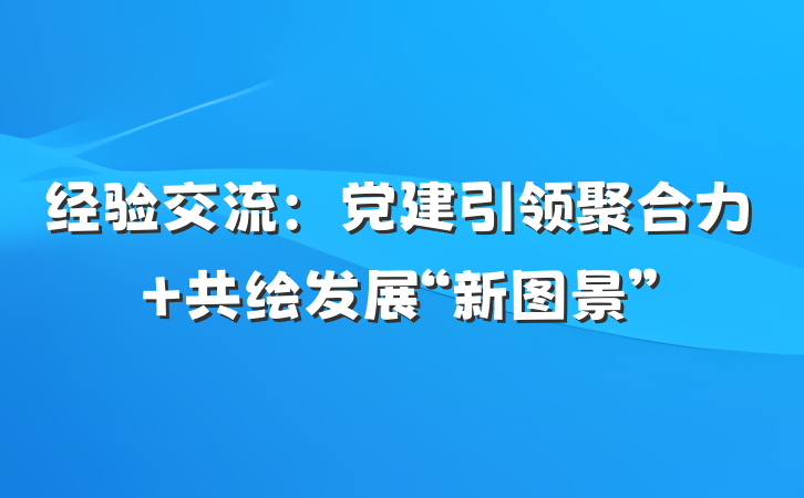 经验交流：党建引领聚合力 共绘发展“新图景”