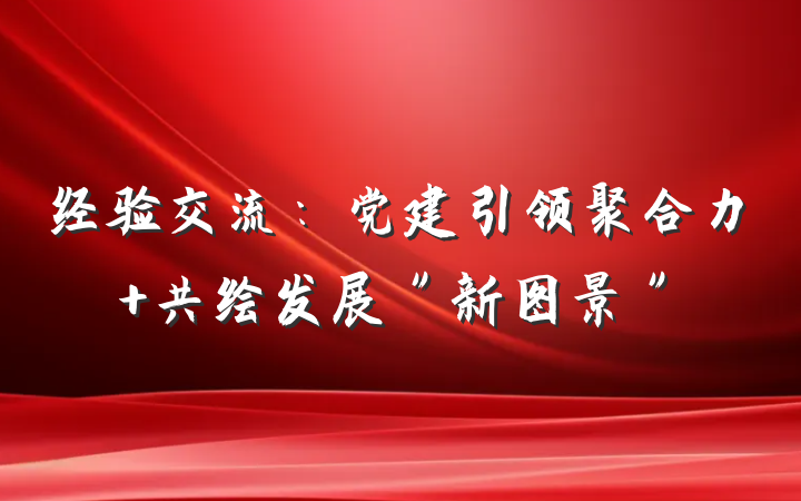 经验交流：党建引领聚合力 共绘发展＂新图景＂
