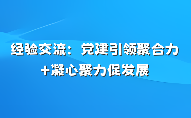 经验交流：党建引领聚合力 凝心聚力促发展