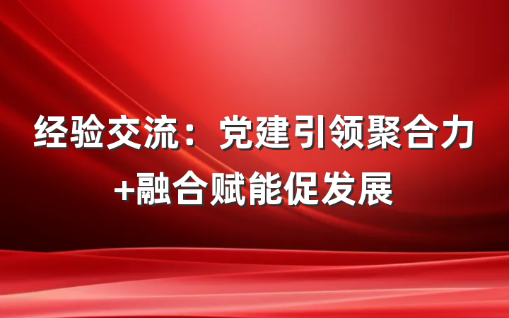 经验交流：党建引领聚合力 融合赋能促发展