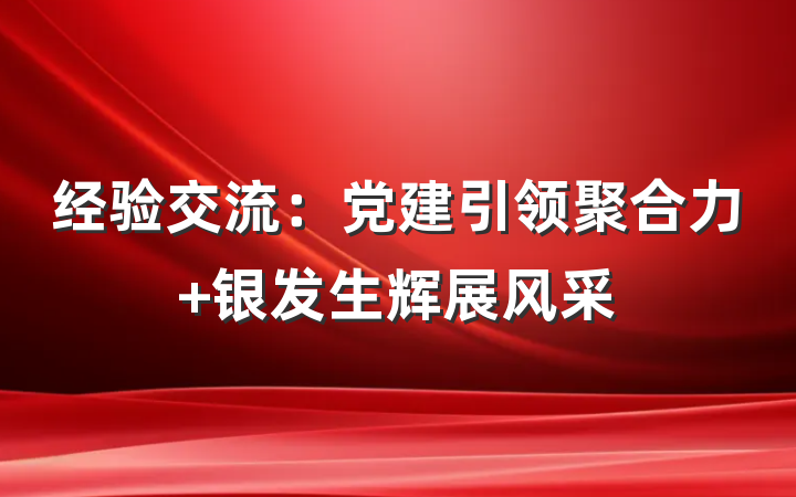 经验交流：党建引领聚合力 银发生辉展风采