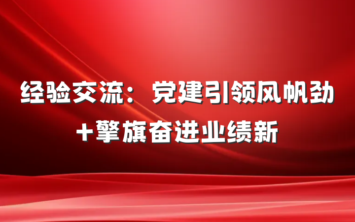 经验交流：党建引领风帆劲 擎旗奋进业绩新