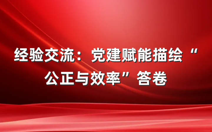 经验交流：党建赋能描绘“公正与效率”答卷