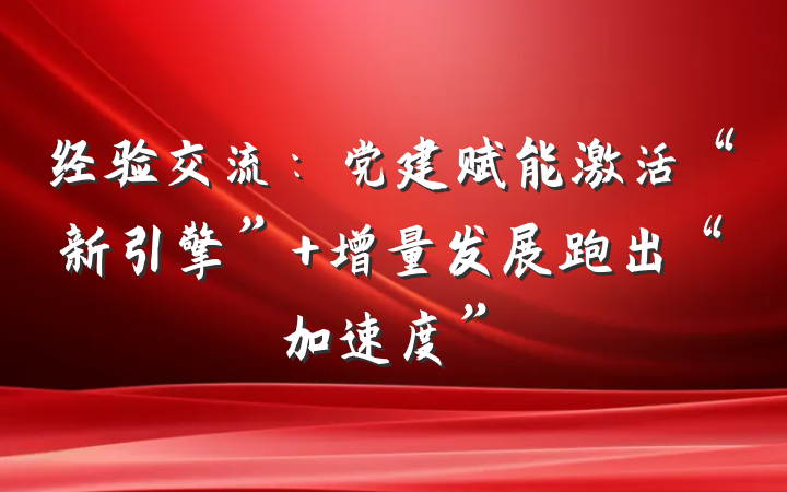 经验交流：党建赋能激活“新引擎” 增量发展跑出“加速度”