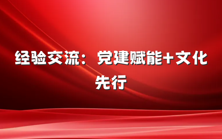 经验交流：党建赋能 文化先行