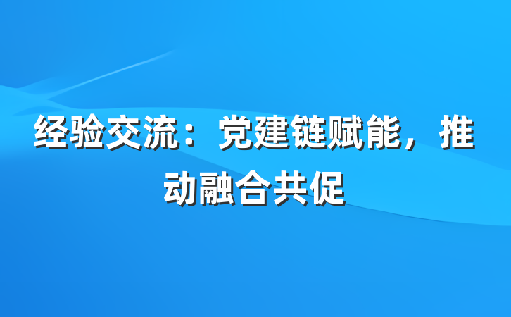 经验交流：党建链赋能，推动融合共促