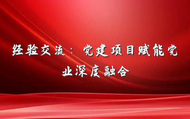 经验交流：党建项目赋能党业深度融合