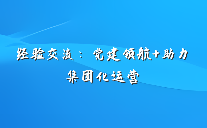 经验交流：党建领航 助力集团化运营