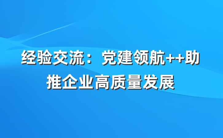 经验交流：党建领航  助推企业高质量发展