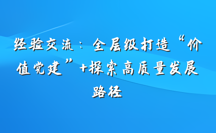 经验交流：全层级打造“价值党建” 探索高质量发展路径